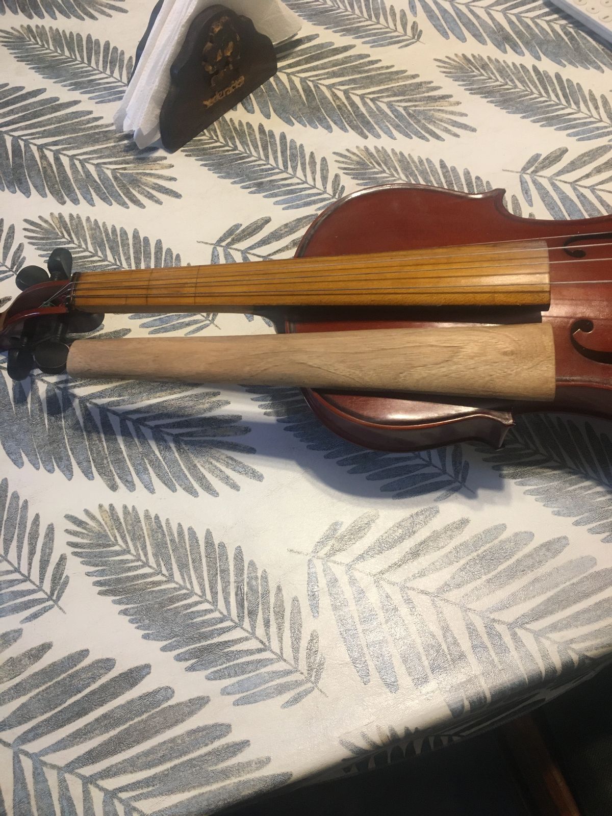 WhatsApp Image 2025-04-27 at 23.11.11.jpeg